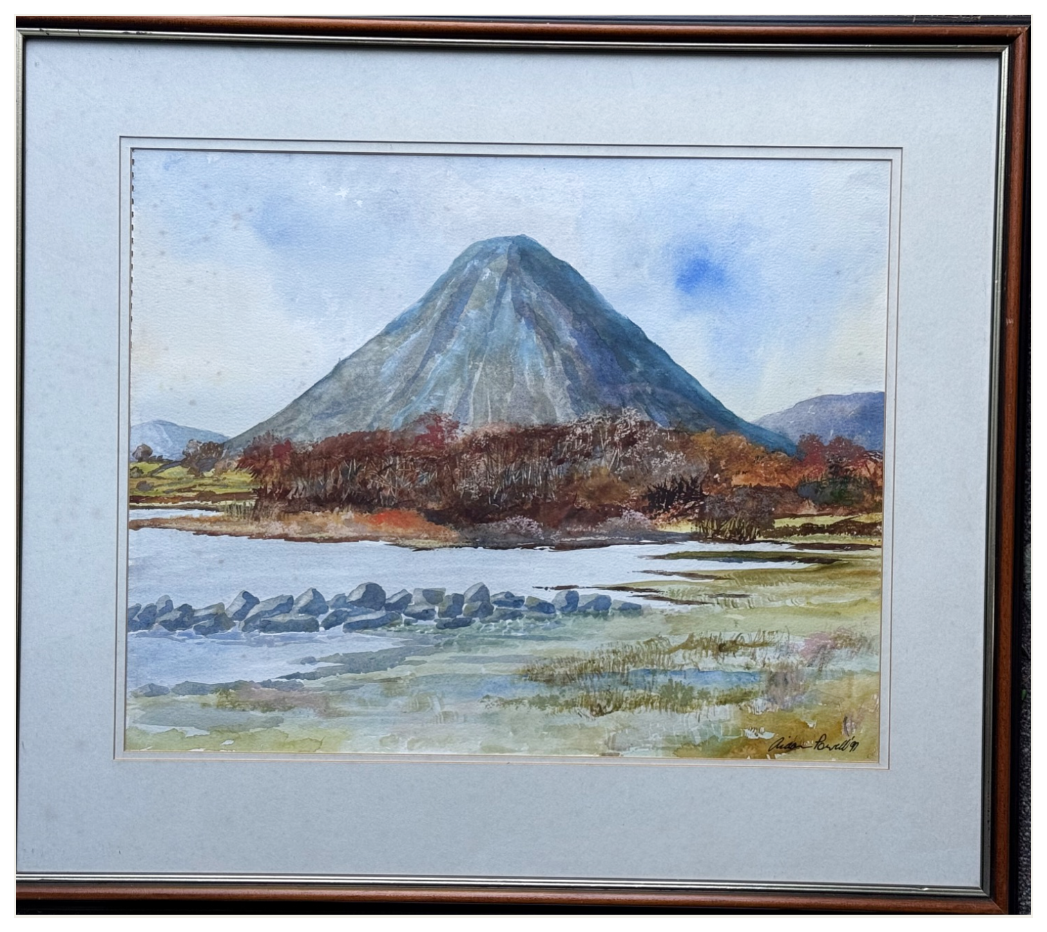 Mountain Reflections over the Wetlands